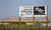 Kristin Murphy, Deseret News...