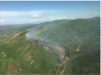 Willow Creek Fire pic from US Forest Service...