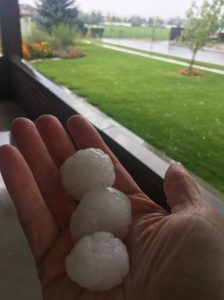 Kaysville was especially hard hit by the storm.