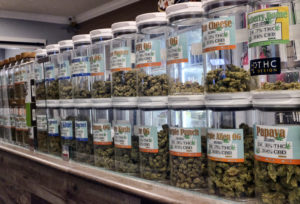 support for proposition 2 decreases