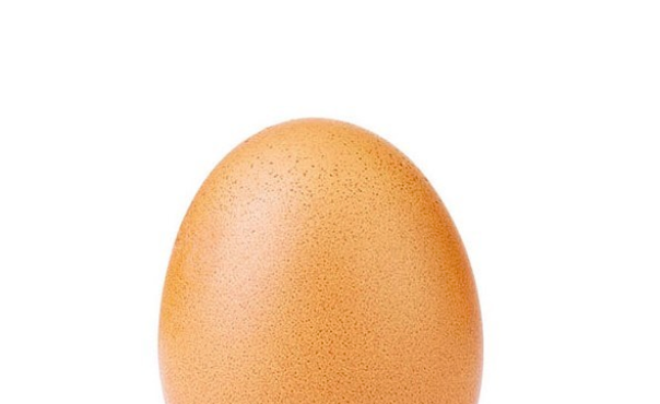 Courtesy: Egg Gang...
