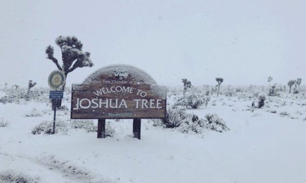 Los Angeles snow...