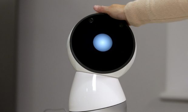 FILE - In this Nov. 21, 2017, file photo Massachusetts Institute of Technology professor and roboti...