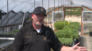 inmate gardeners