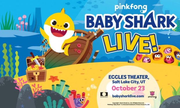baby shark live...