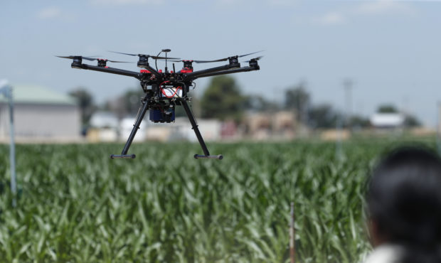 In this Thursday, July 11, 2019, photograph, United States Department of Agriculture engineering te...
