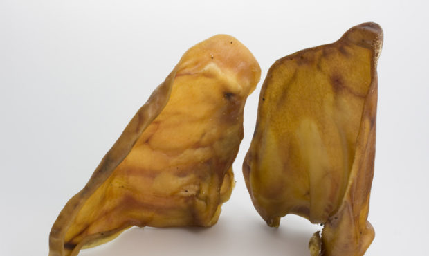 pig ear treats...
