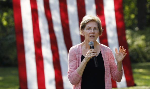 warren polls...