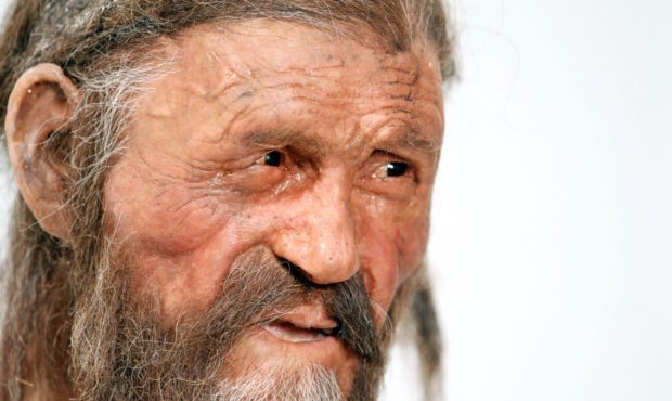 A statue representing Otzi the Tyrolean Iceman, discovered in 1991 in the Italian Schnal Valley gla...