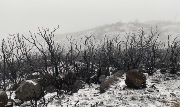This photo tweeted by the Santa Barbara County Fire Department shows the recently charred chaparral...