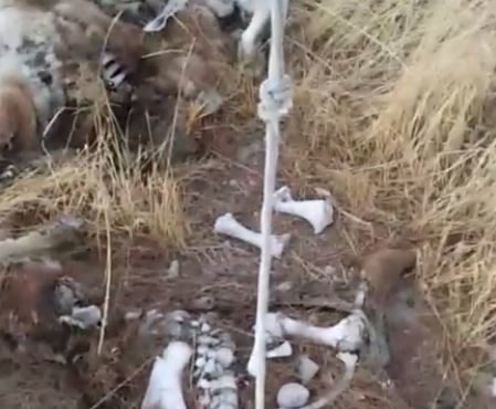 (Photo: Heidi Jensen, Facebook video)...
