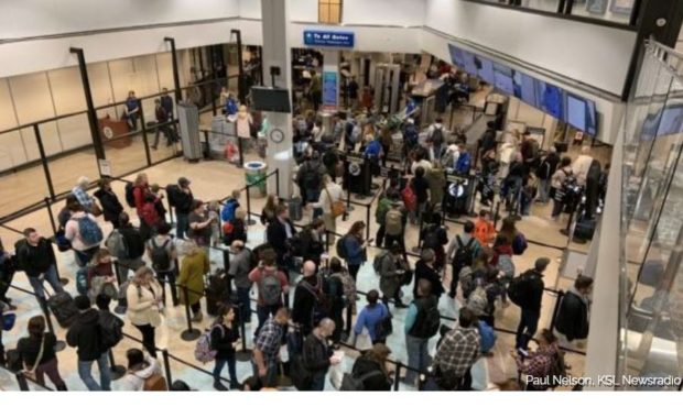 TSA guns...