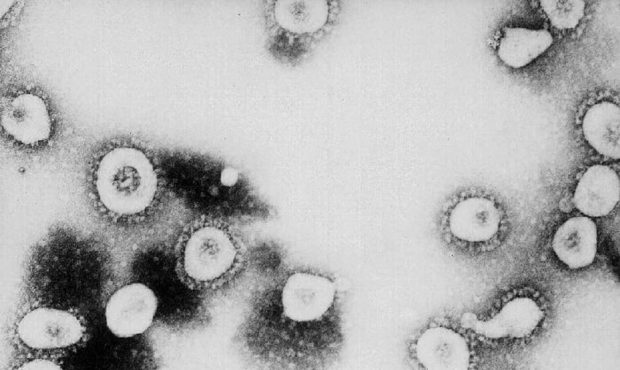 Jordan School District coronavirus...