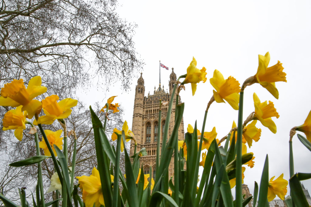 Spring equinox 2020: Earliest arrival in more than a century - KSLNewsRadio