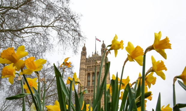 LONDON, UK, UNITED KINGDOM - 2019/03/20: Daffodils seen in Victoria Gardens during spring.
Westmins...