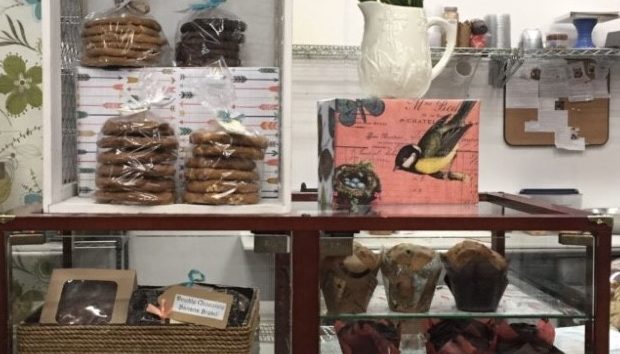 small businesses Zion National Park...