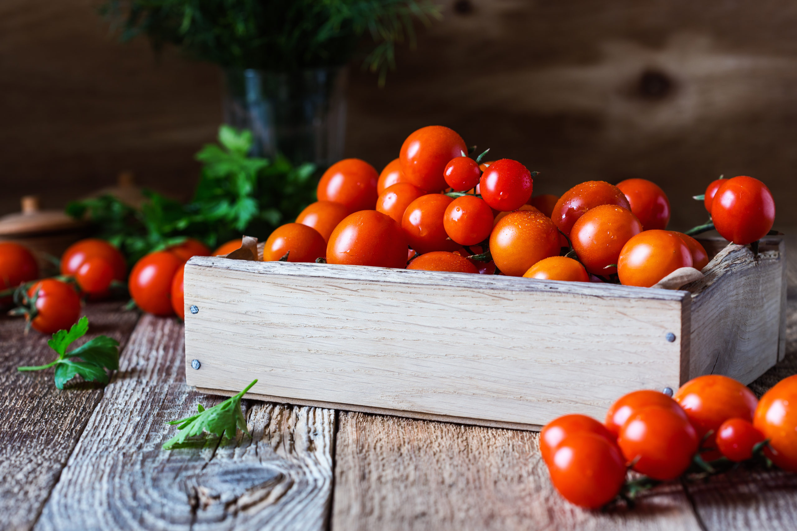 Top five favorite tomato varieties | KSL Greenhouse Show