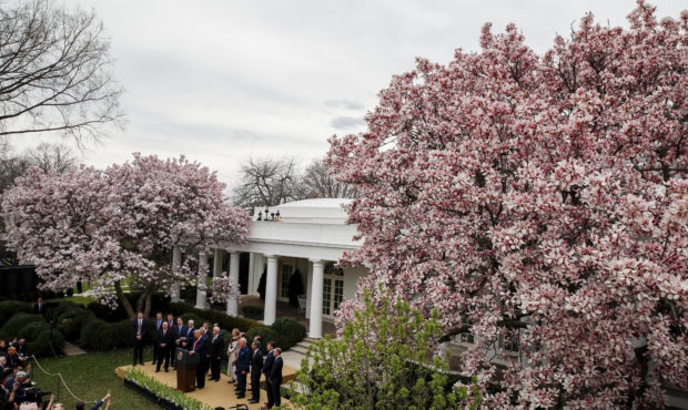 Rose Garden...