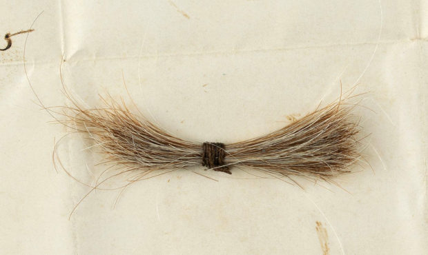 Abraham Lincoln's hair...