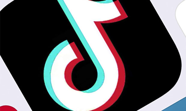 TikTok asks for delay of Trump decree...
