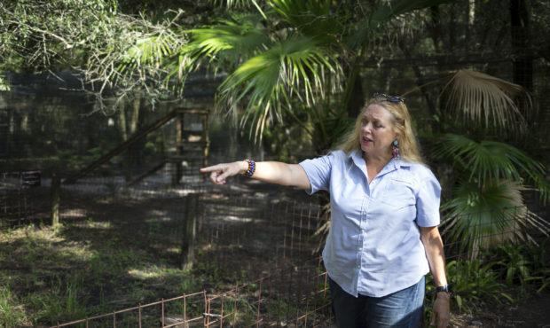 FILE - In this July 20, 2017, file photo, Carole Baskin, founder of Big Cat Rescue, walks the prope...