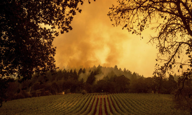 Smoke rises over a vineyard as the Glass Fire burns, Monday, Sept. 28, 2020, in Calistoga, Calif. (...