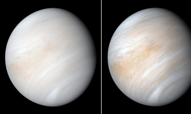 NASA's Mariner 10 spacecraft captured this view of Venus wrapped in a dense, global cloud layer.
Cr...