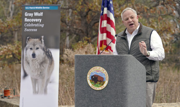 Trump Gray Wolves...