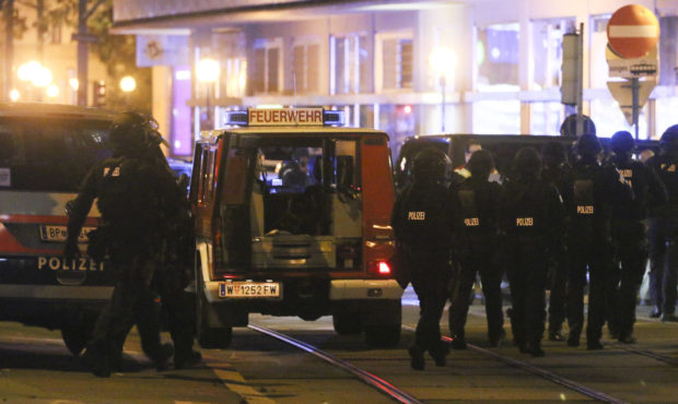 Vienna attack...