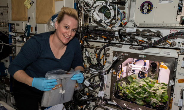 radishes space...