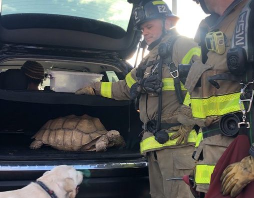 Fire crews rescue 4 people and 18 animals from basement fire - KSLNewsRadio
