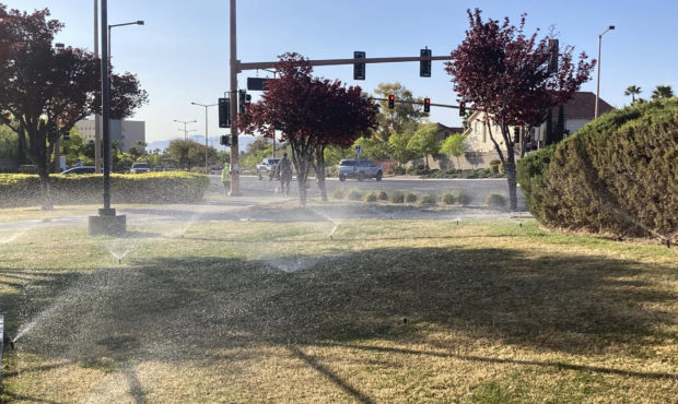 las vegas grass...