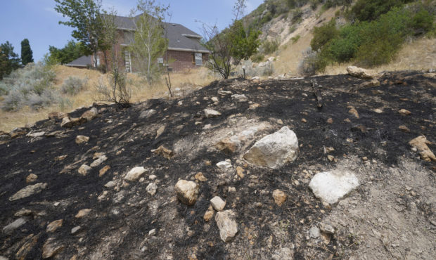 A burnt hillside caused by fireworks is shown Tuesday, June 22, 2021, in Provo, Utah.  (AP Photo/Ri...