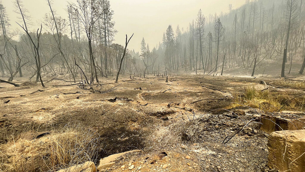 Drought Fire Drought conditions increase likelihood of a wildfire in winter ...