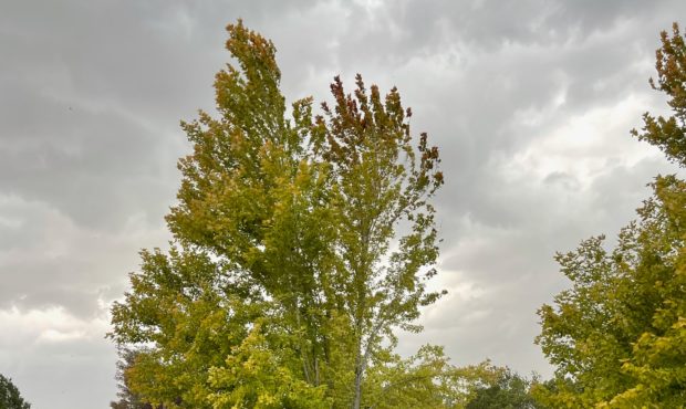 Severe thunderstorms rolled through northern Utah on Saturday, Aug. 21, 2021. The storm brought dow...