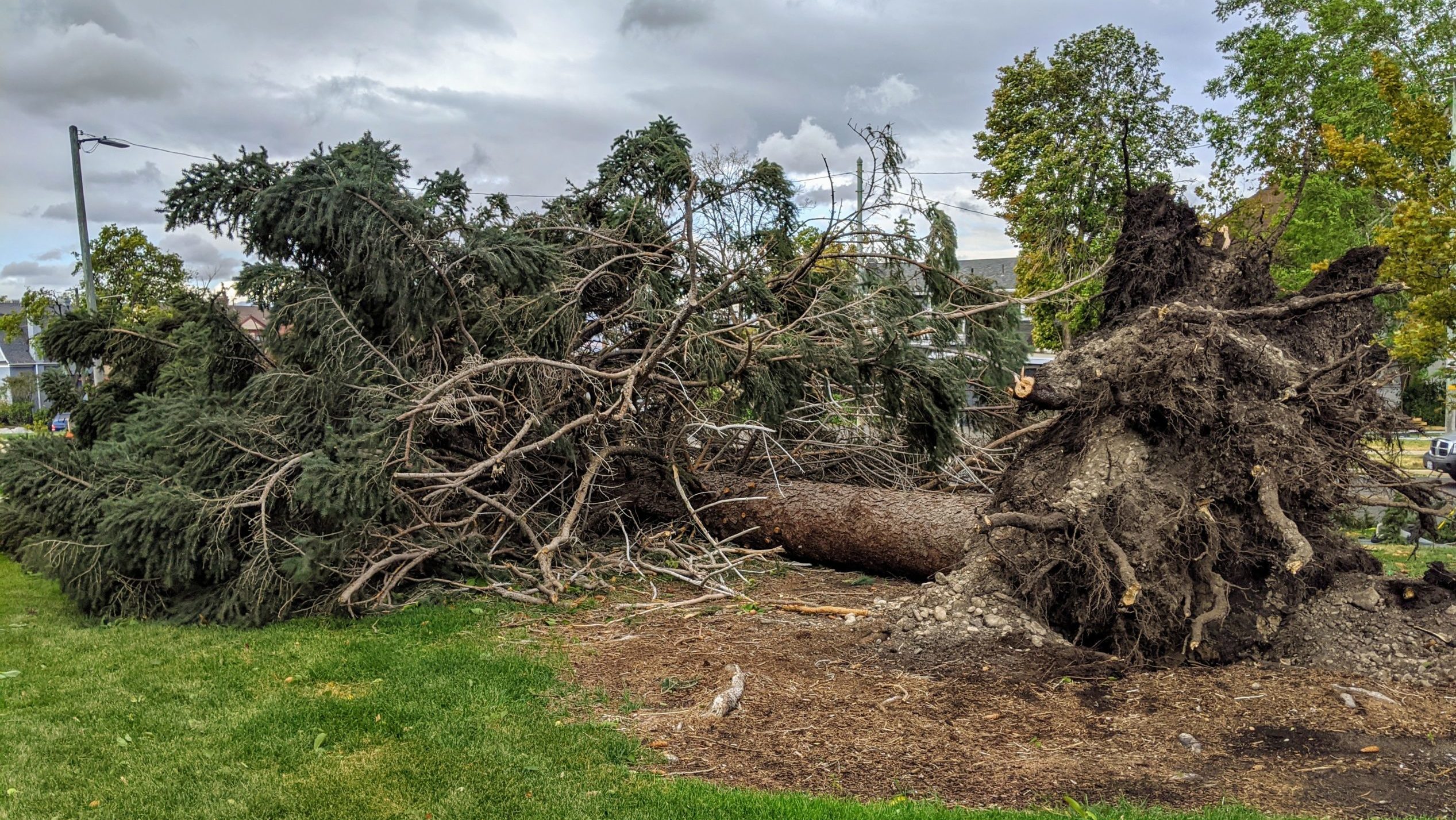 One-year anniversary of destructive downslope Utah windstorm