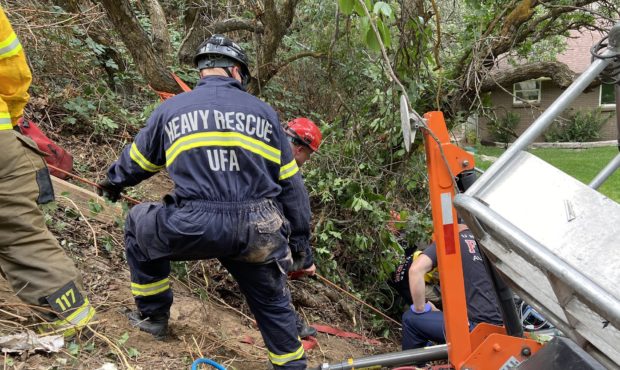 tree trimmer rescued...