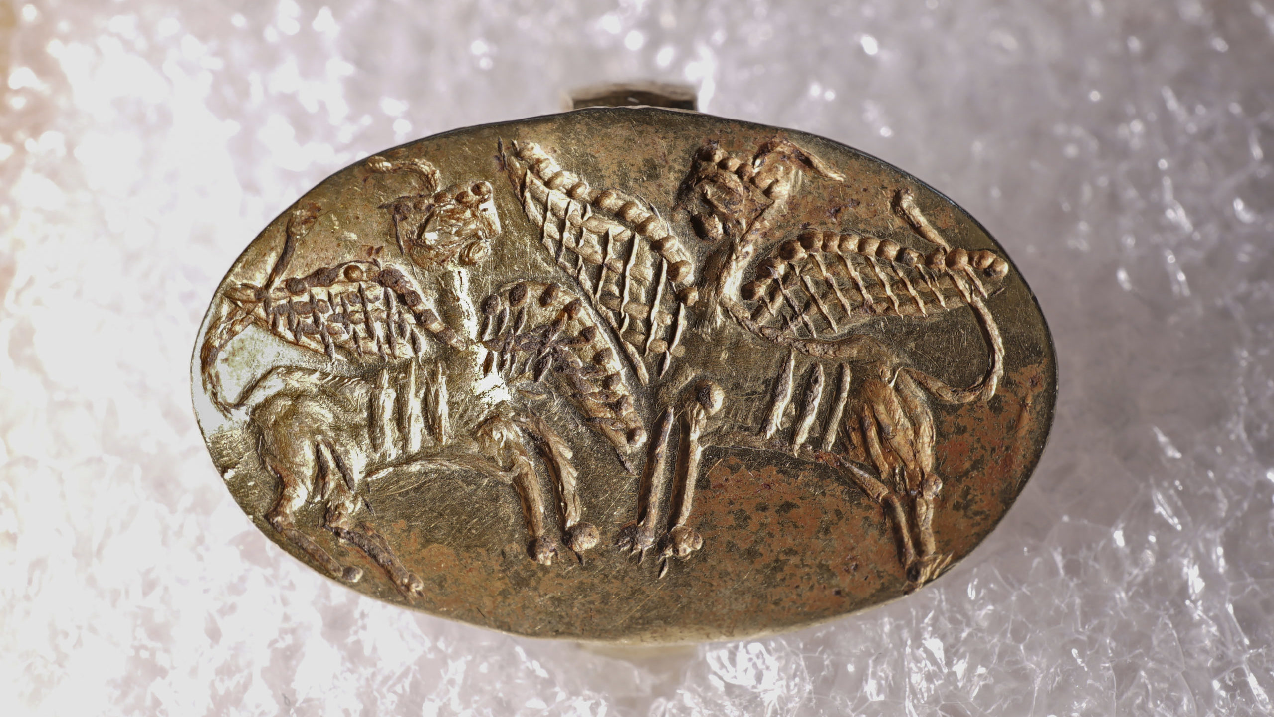 This undated photo provided by the Greek Culture Ministry on Friday, May 20, 2022, shows a gold Myc...