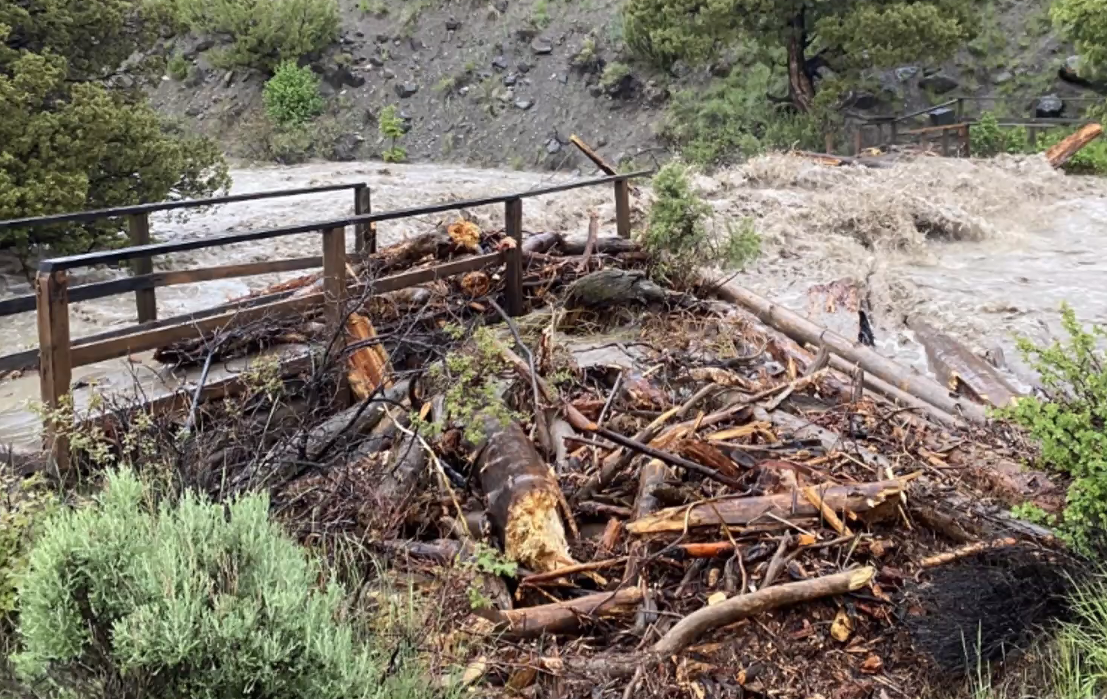 On Tuesday, Yellowstone National Park officials and state leaders, in a press conference, said they...