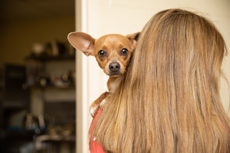 The Best Friends Lifesaving Center in Sugar House is waiving adoption fees on all pets. This will t...