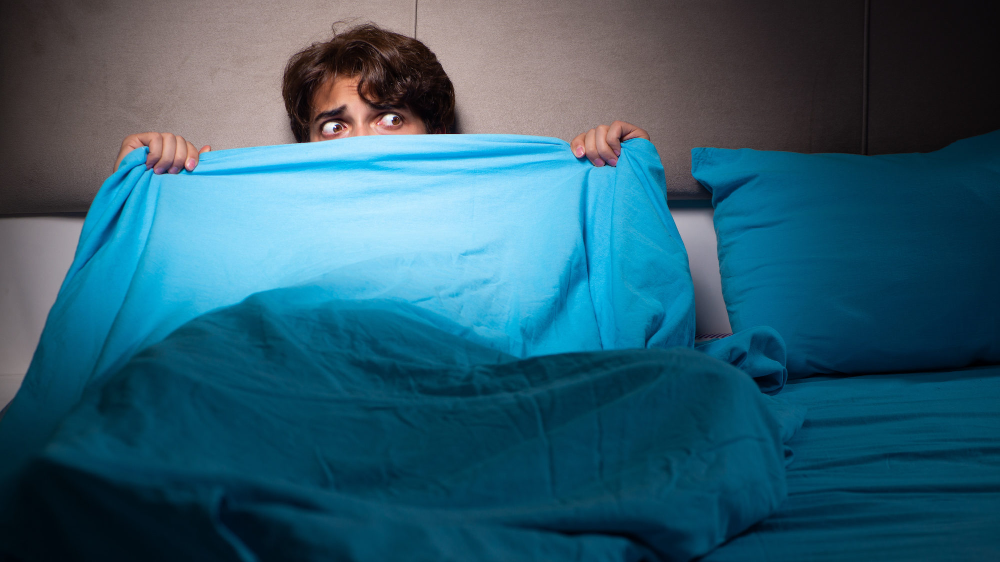 Taking the terror out of nightmares using sound during REM sleep ...
