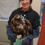 Rehab eagle 6