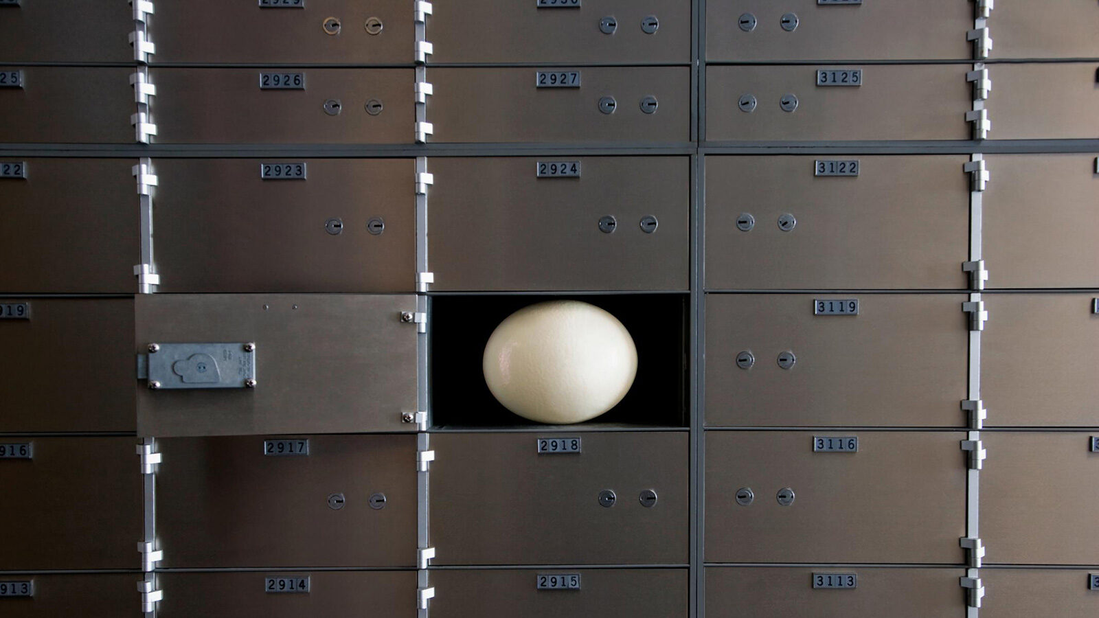 an egg is pictured, fossilized eggs provide valuable information...