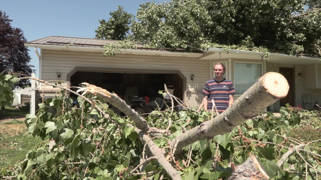 Jayden Sperry outside his home with parts of the crashed tree. (Shelby Lofton, KSL TV)...