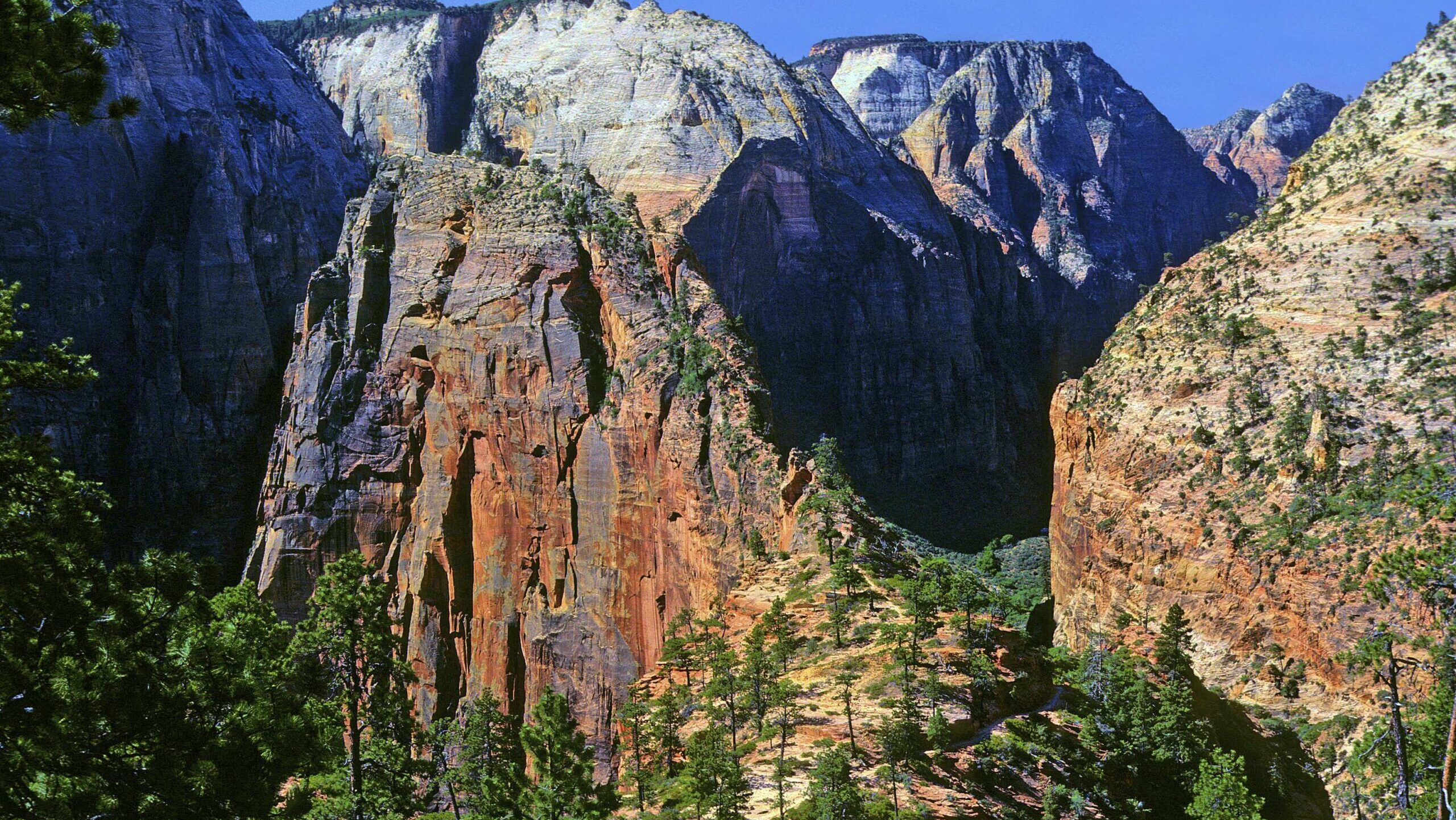 Zion National Park. (AP Photo/Floyd Holdman, Utah Office of Tourism, Floyd Holdman)...