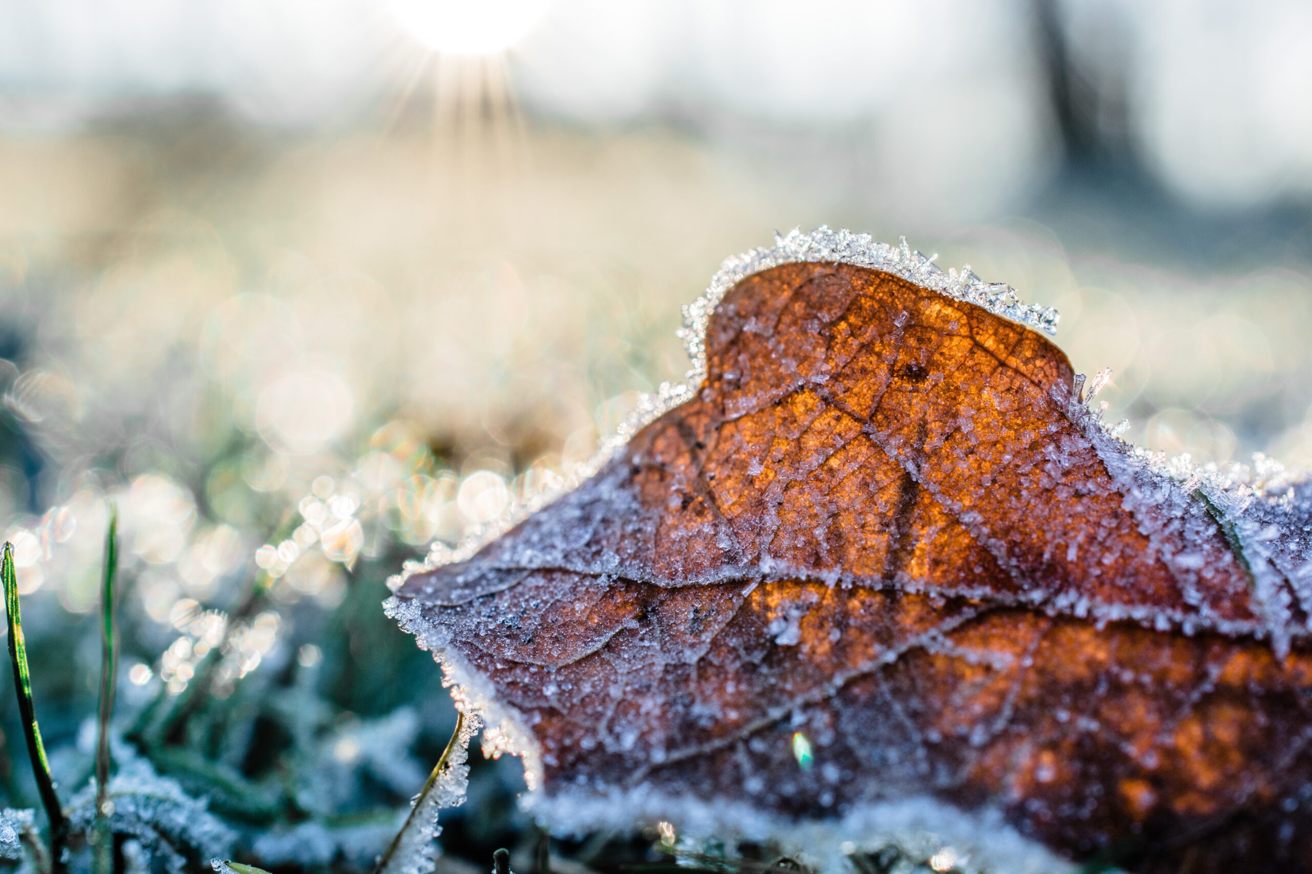 A freeze warning is in effect for several areas of Northern Utah tonight as temperatures are expect...