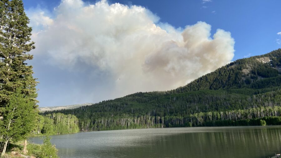 The Little Twist wildfire grew to 1,000 acres on Saturday, June 15, 2024, according to a news relea...