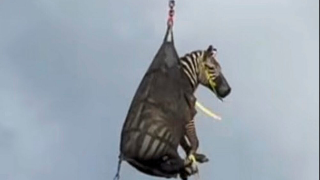 In this image taken from June 8, 2025, video by the Rutherford County Sheriff's Office in Rutherfor...