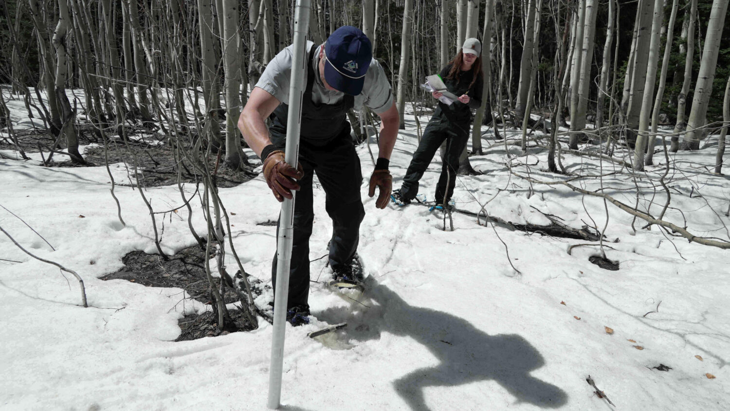 Clinton Whitten and hydrologist Maureen Gutsch, back, measure snow, Monday, March 30, 2026, in Krem...