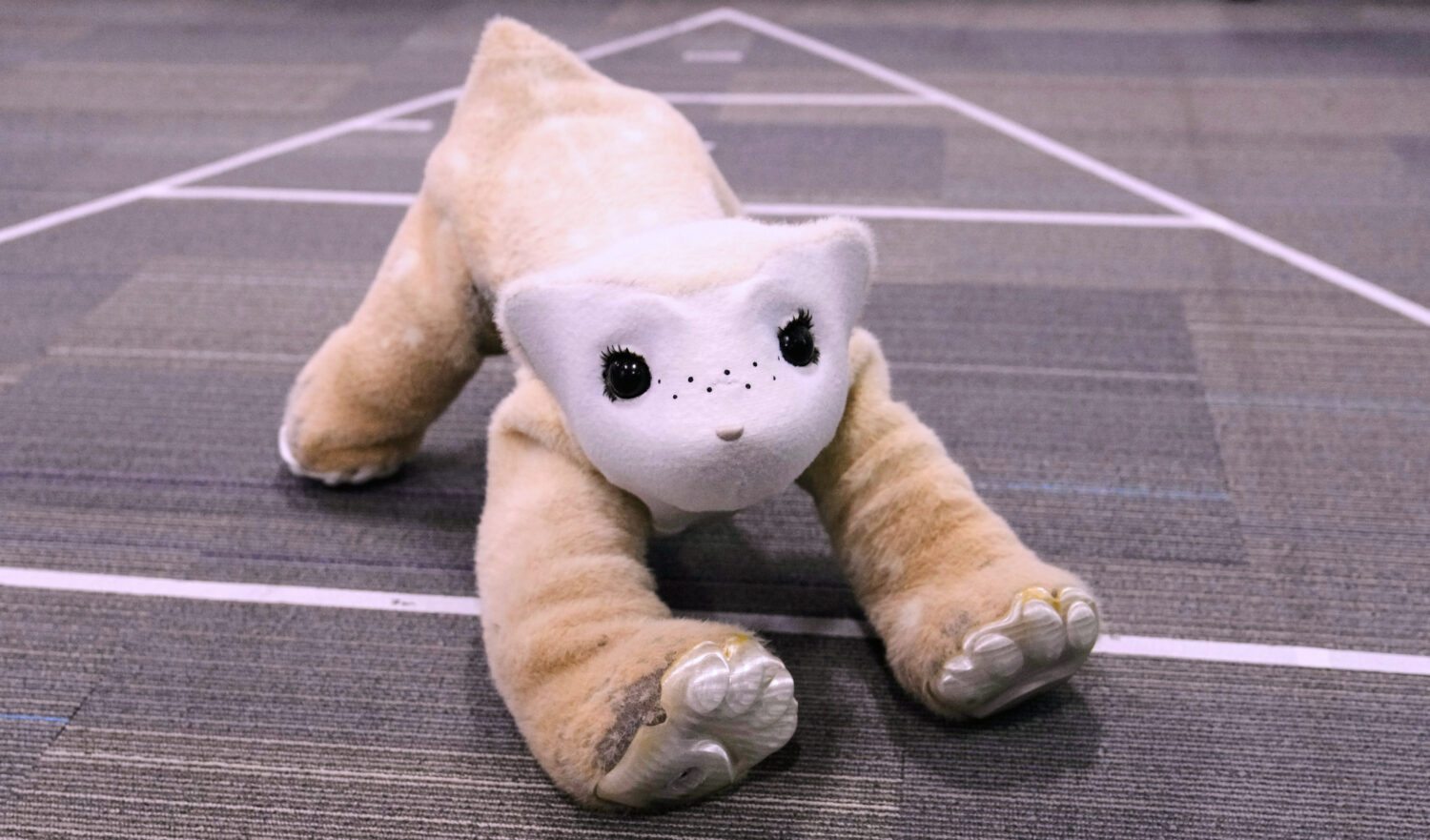 Familiar, an AI pet robot designed by the maker of Roomba, interacts during a demonstration at the ...